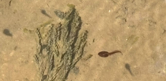 スクリーンショット 2025 09 23 16.10.26