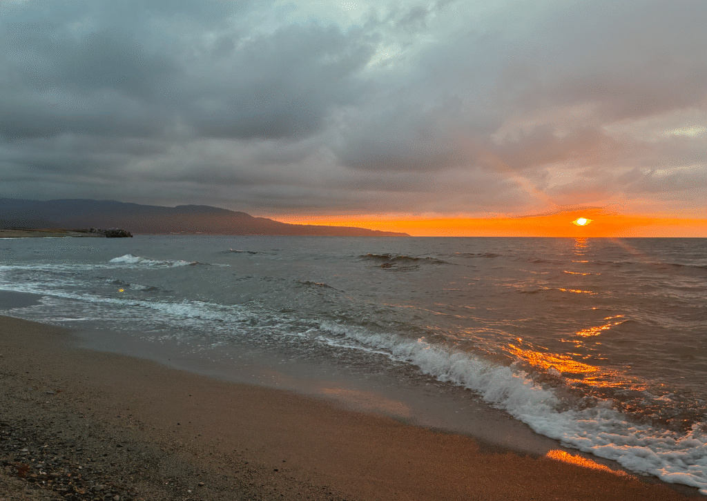 スクリーンショット 2025 09 23 17.09.35